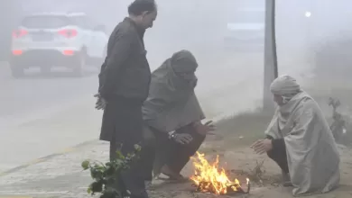 Cold Wave in INDIA